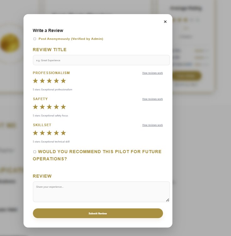 Three-criteria review form — Professionalism, Safety, Skillset